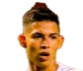 https://img.china-hbhq.com/img/football/player/256dcd3c814bd8fea3fab644d67a539f.png